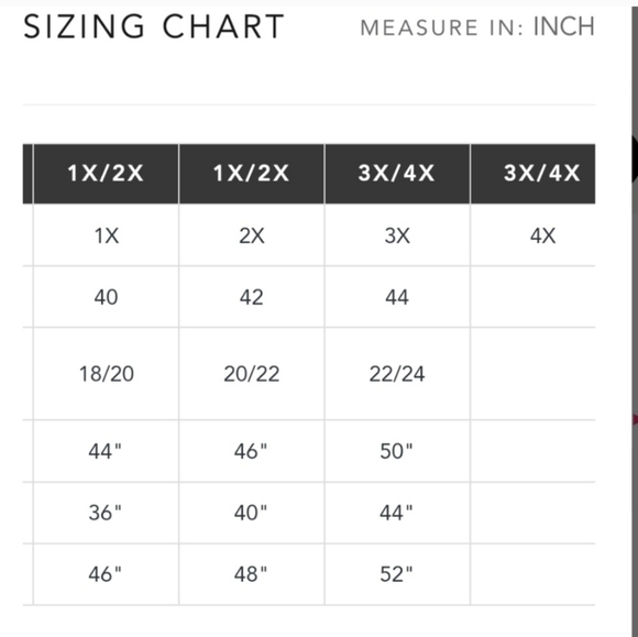 "Demi" Frederick's Of Hollywood Lace Bonbay Brown Thong Size 1X - Picture 8 of 9